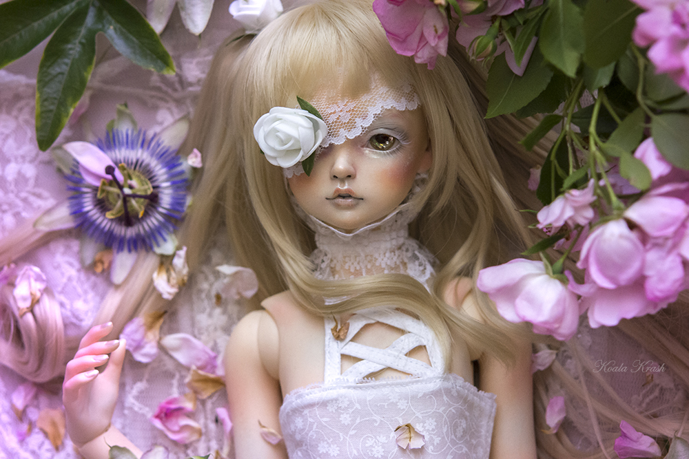 Koala Krash custom Doll